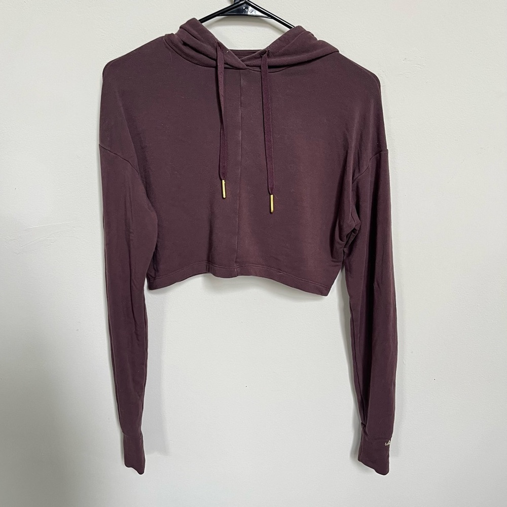 whitney simmons cropped sweater
